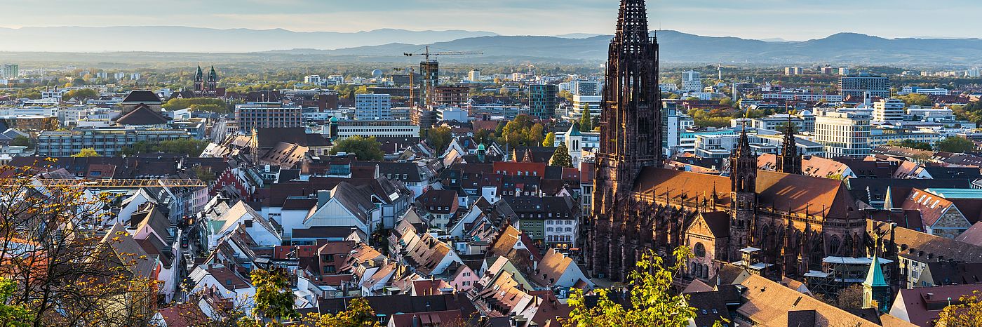 View from Freiburg im Breisgau